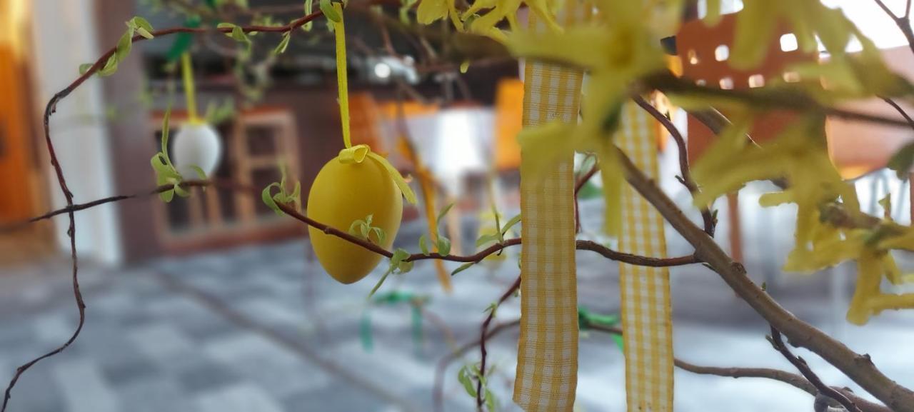 Penzion Svojanov Svojanov  エクステリア 写真