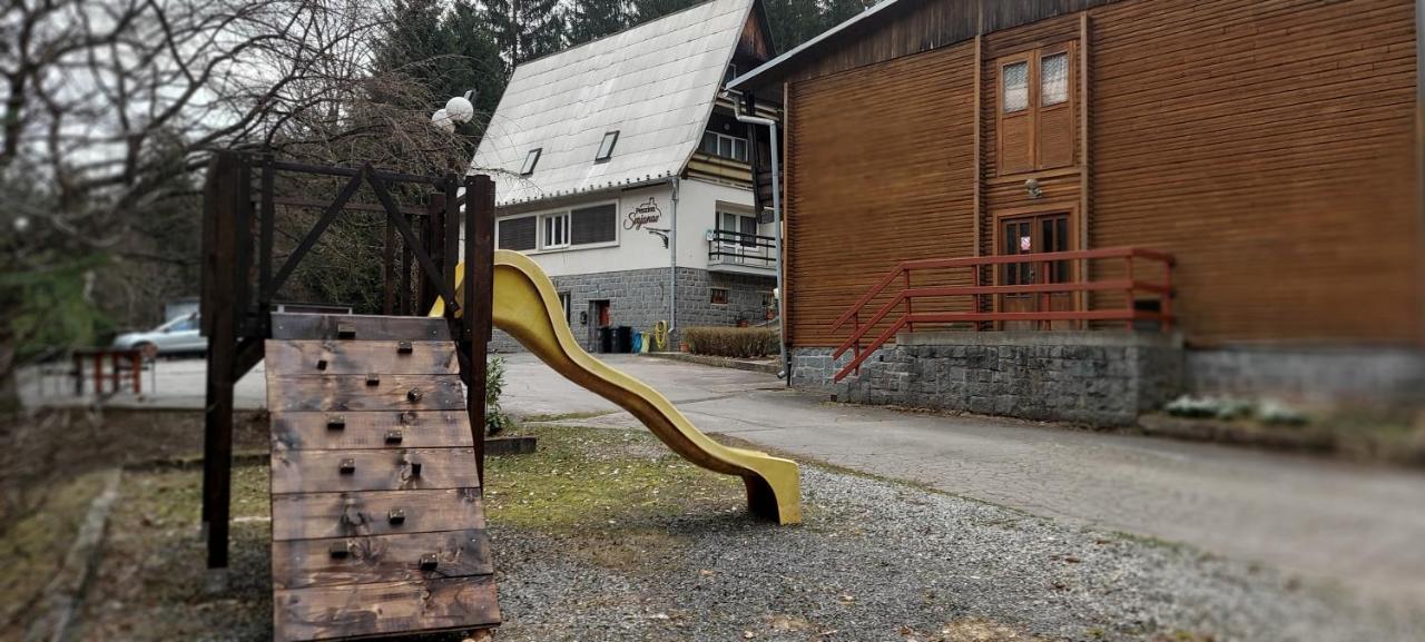 Penzion Svojanov Svojanov  エクステリア 写真